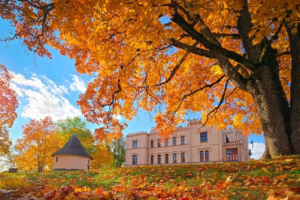 Alūksne enjoys a real golden autumn