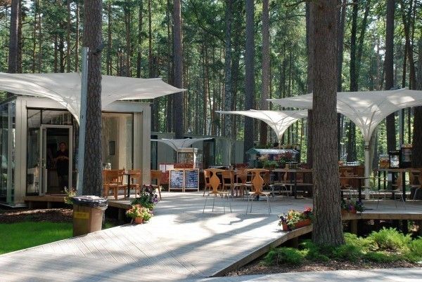 Dzintaru-mezaparks Dzintari Forest park