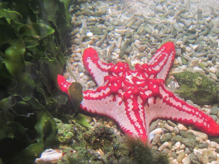 Aquaria-Vattenmuseum Aquaria Water Museum