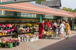 Holiday and travel offers 02.09.2025 - 07.09.2025 Autumn Market at Ventspils Old Town Market Ventspils TIC