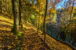 Holiday and travel offers 11.09.2025 - 18.09.2025 Explore Trakai in Fall: 3 ideas for our fa Trakai TIC