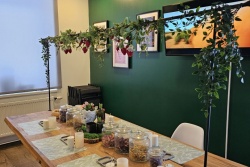 Discover 26 programs and masterclasses Bauskas TIC