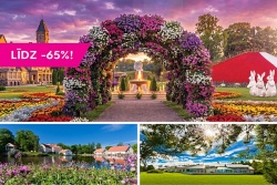Summer’s best offers await you! Hookusbookus.com