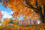 Alūksne enjoys a real golden autumn