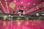 A giant pink ice rink inspired by cold beet soup just opened in Lithuania 